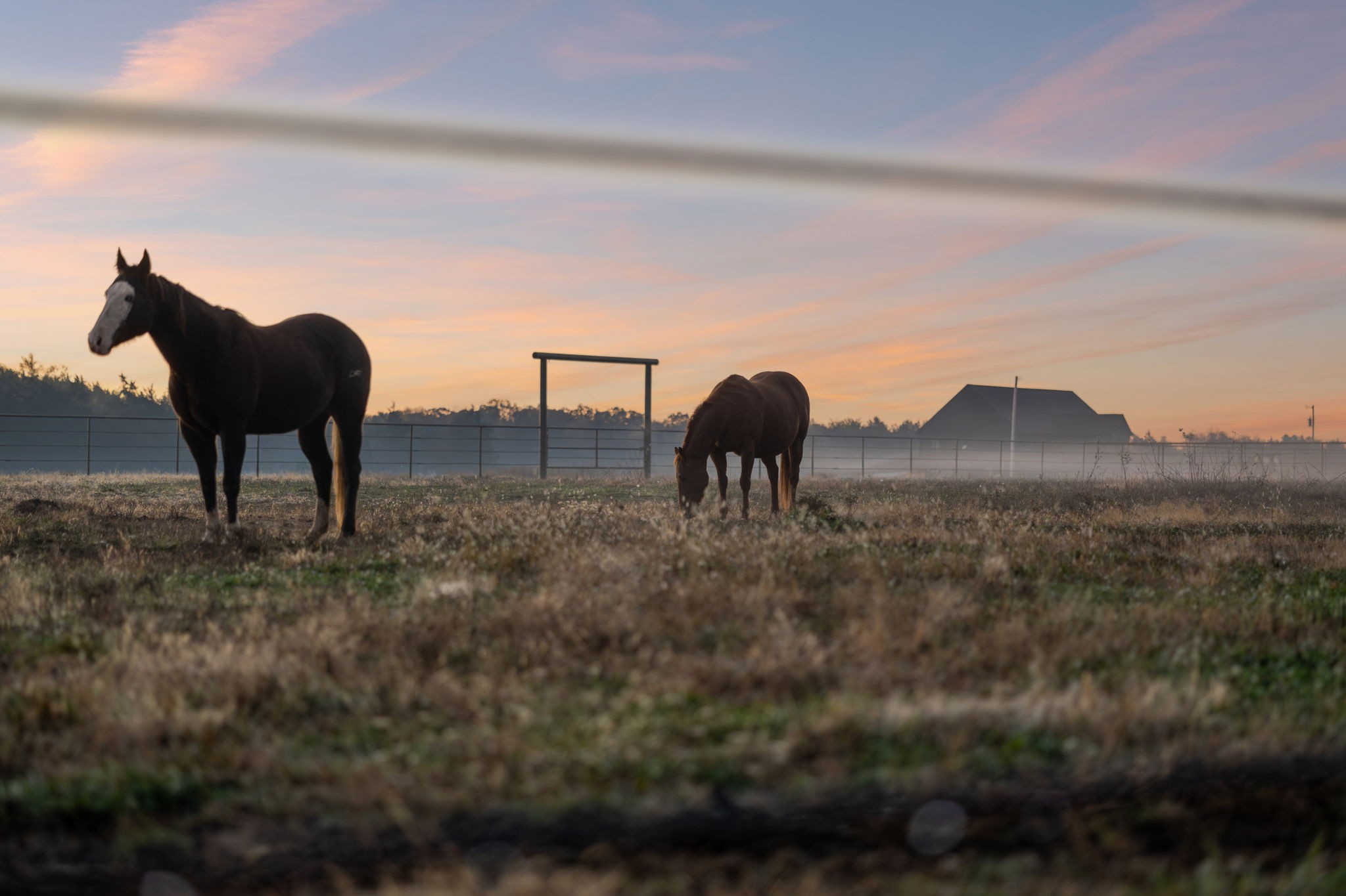 a view of a yard in the back of the house