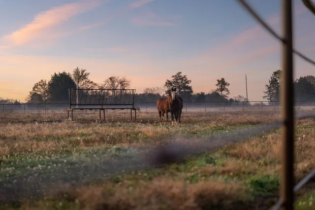 $5,900,000 | 201 Lamb Road, Rockvale, TN 37153