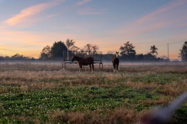 $5,900,000 | 201 Lamb Road, Rockvale, TN 37153