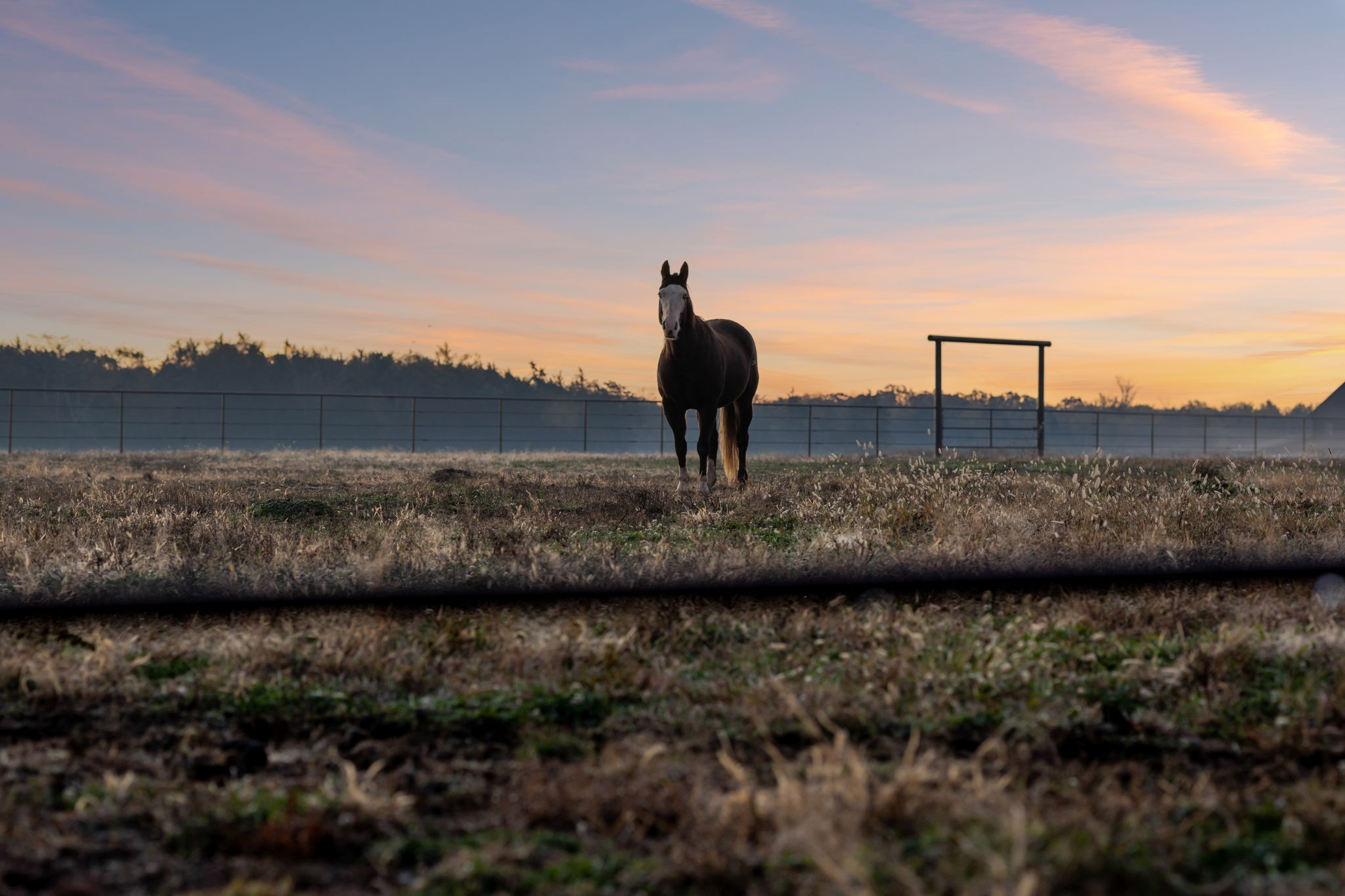201 Lamb Road Rockvale, TN 37153 - Photo 84 of 87