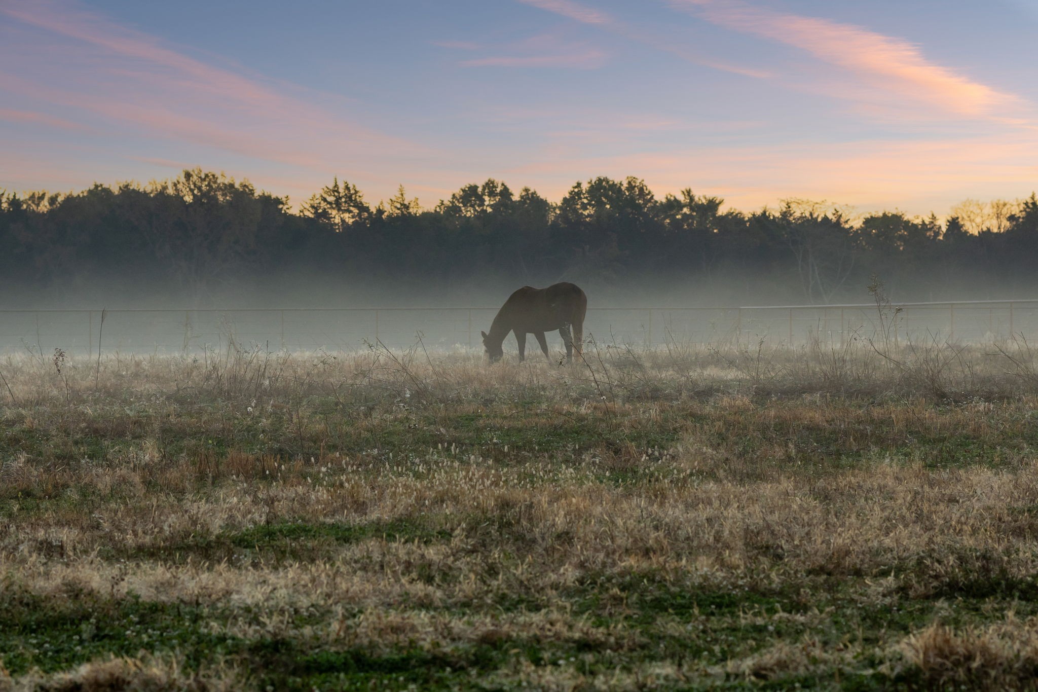 201 Lamb Road Rockvale, TN 37153 - Photo 86 of 87