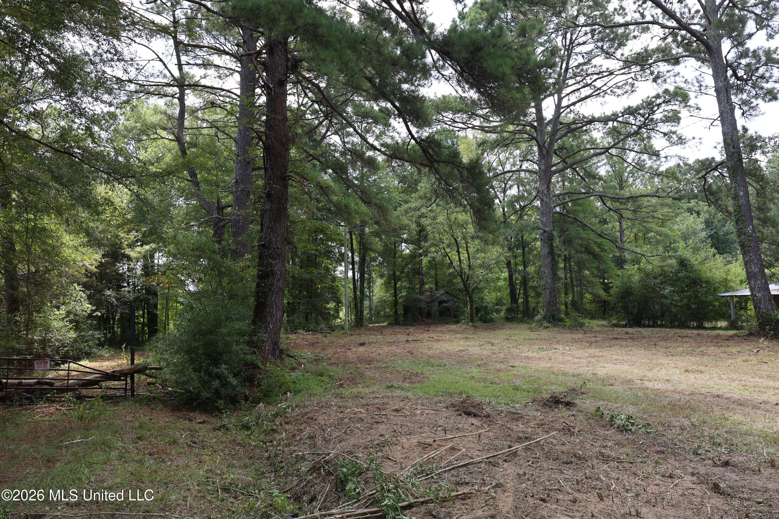 149 Gober Road Camden, MS 39045 - Photo 9 of 26 IMG_8314