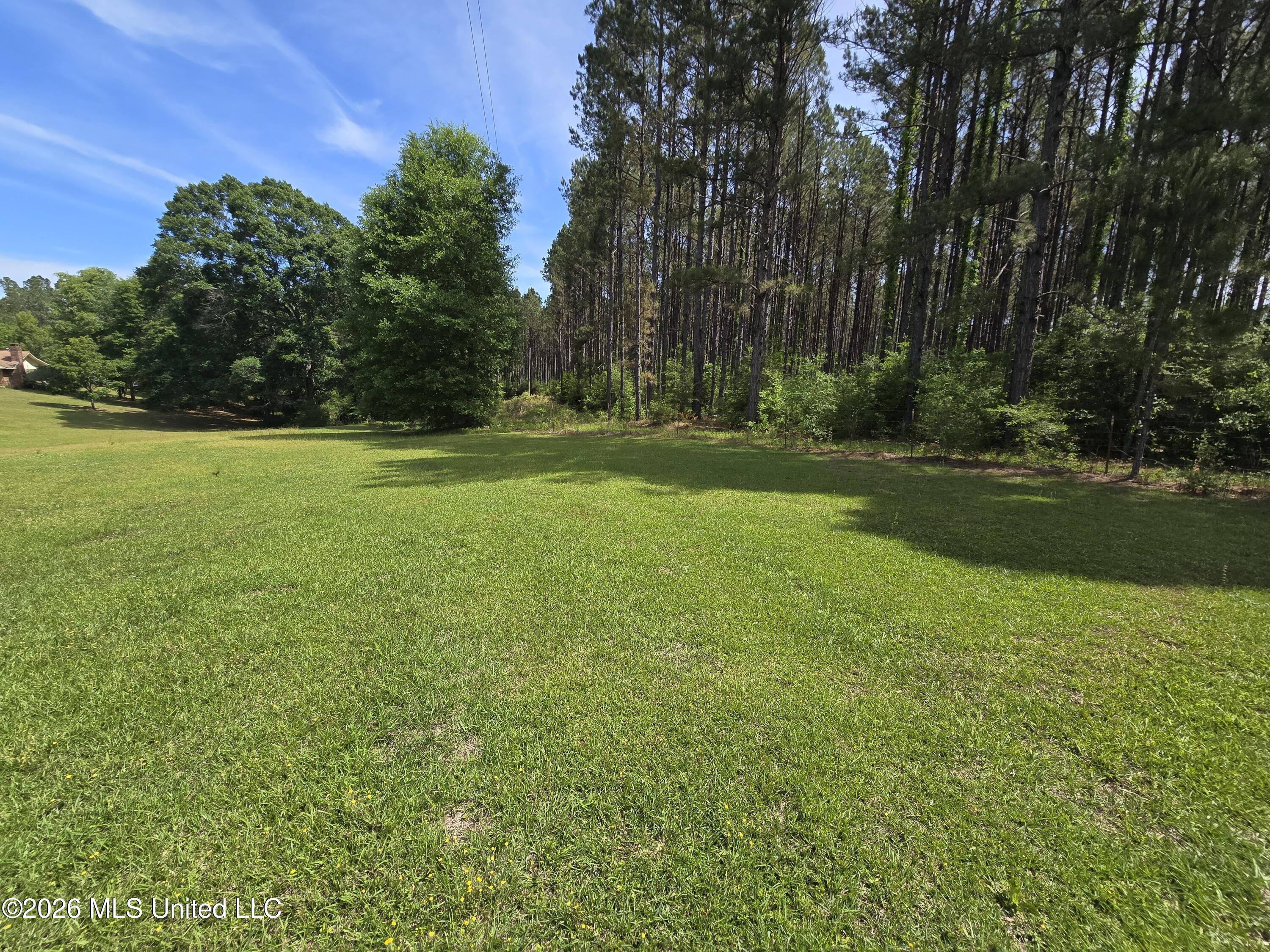 79 Harrington Road Hattiesburg, MS 39401 - Photo 11 of 17 1000012707