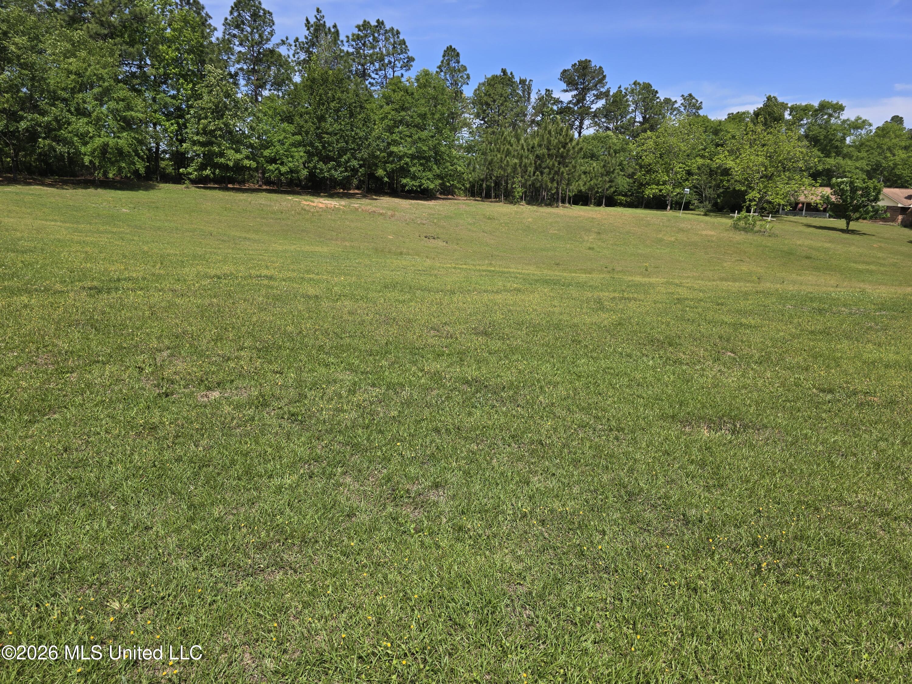 79 Harrington Road Hattiesburg, MS 39401 - Photo 14 of 17 1000012712