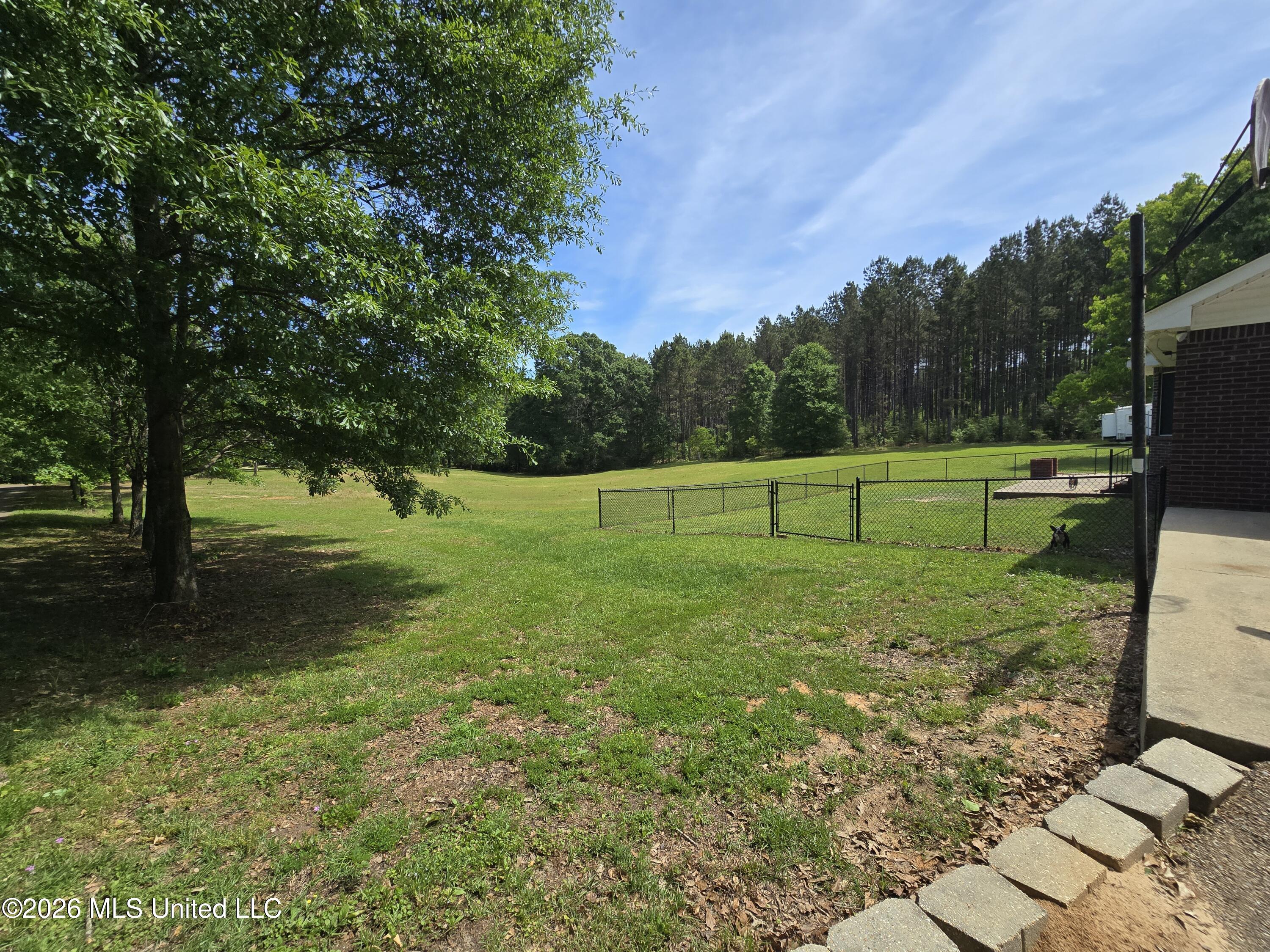 79 Harrington Road Hattiesburg, MS 39401 - Photo 15 of 17 1000012733