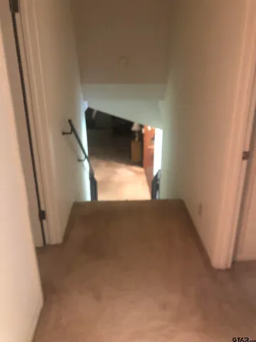 a bathroom with a shower and toilet