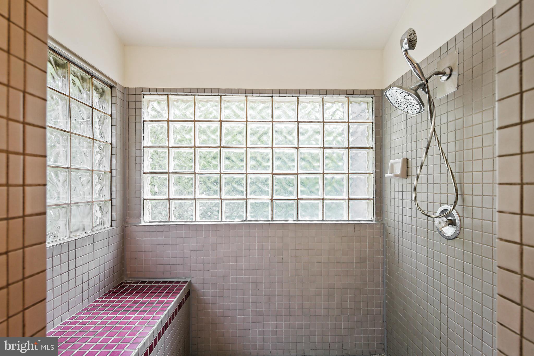 19244 Chandlee Mill Road Sandy Spring, MD 20860 - Photo 25 of 72 Primary Bath Shower w/Tiled Bench