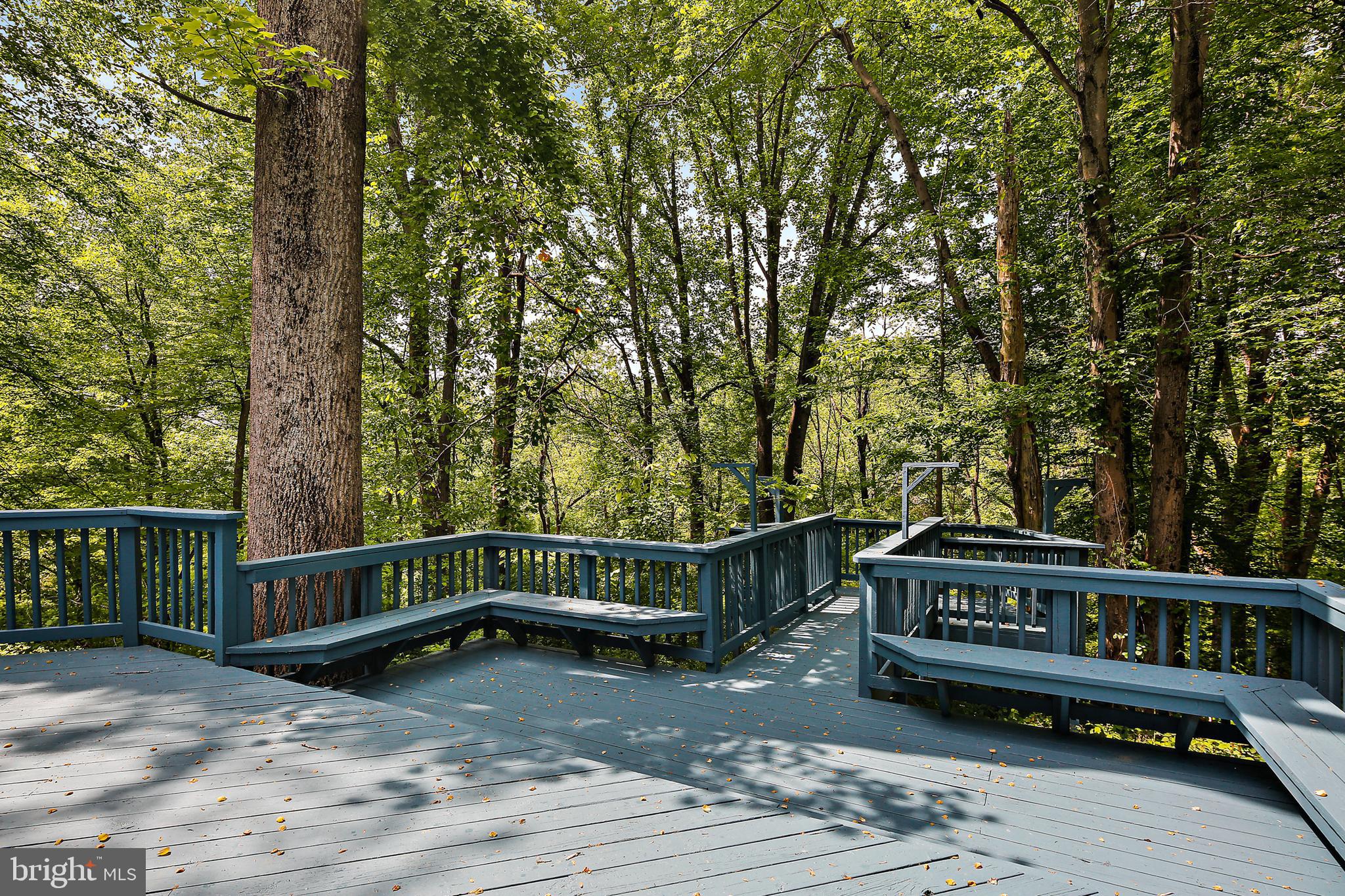 19244 Chandlee Mill Road Sandy Spring, MD 20860 - Photo 54 of 72 Rear Deck w/Views of Mature Trees