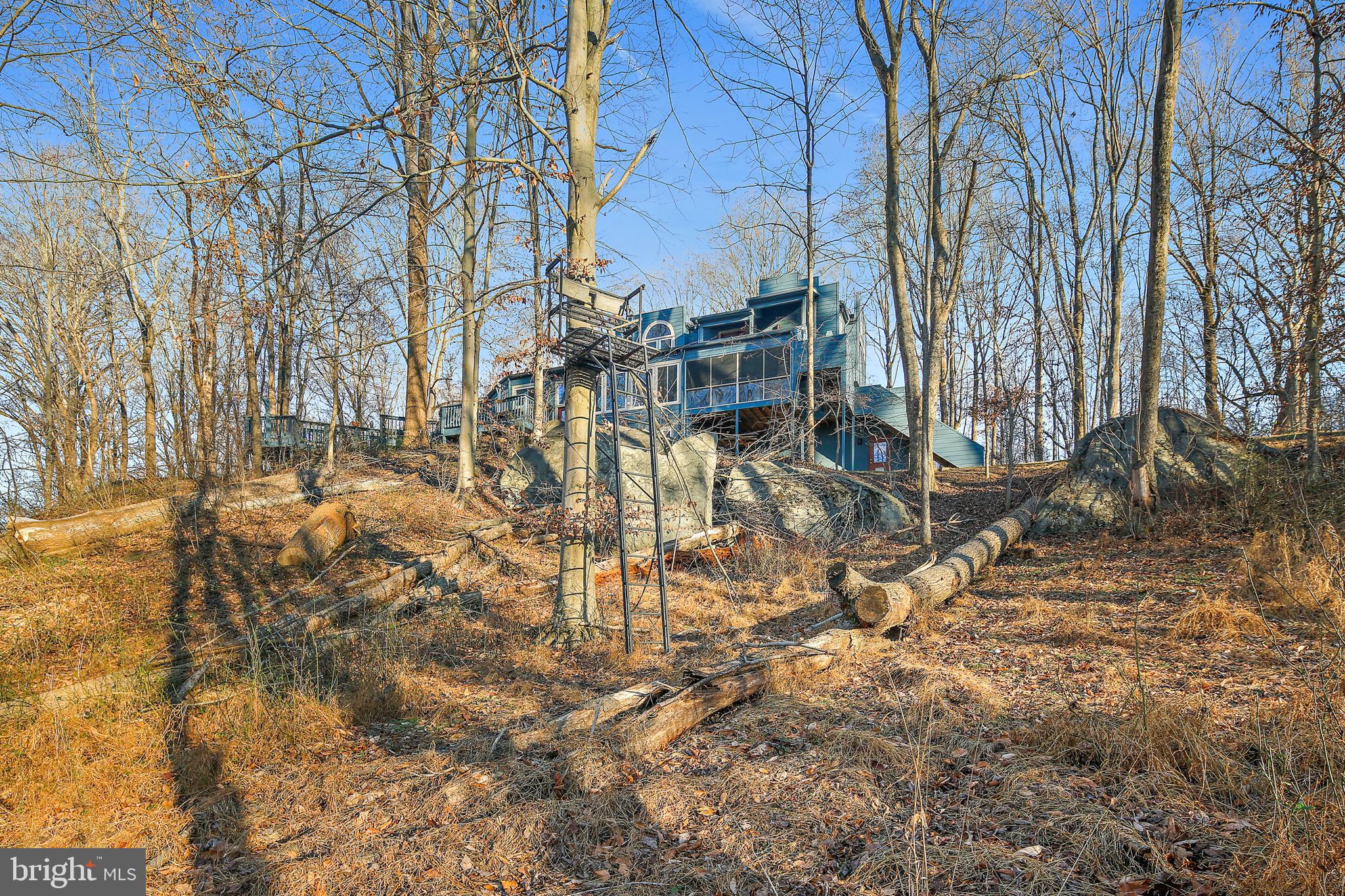 19244 Chandlee Mill Road Sandy Spring, MD 20860 - Photo 69 of 72 Winter Views