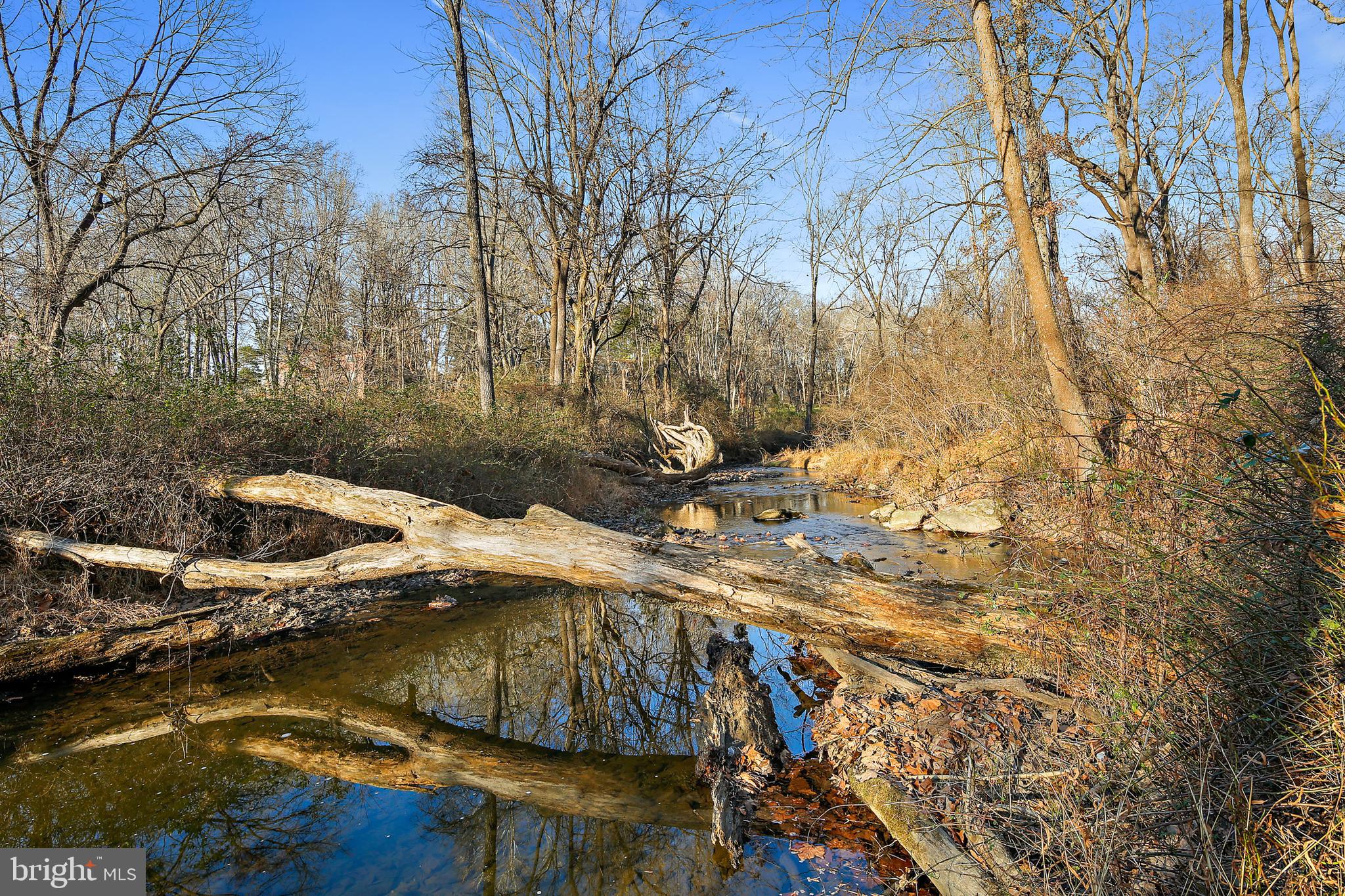 19244 Chandlee Mill Road Sandy Spring, MD 20860 - Photo 71 of 72 Winter View of Stream