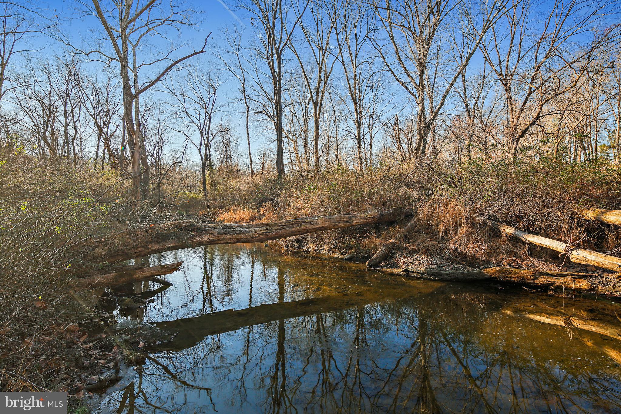 19244 Chandlee Mill Road Sandy Spring, MD 20860 - Photo 72 of 72 Winter View of Stream