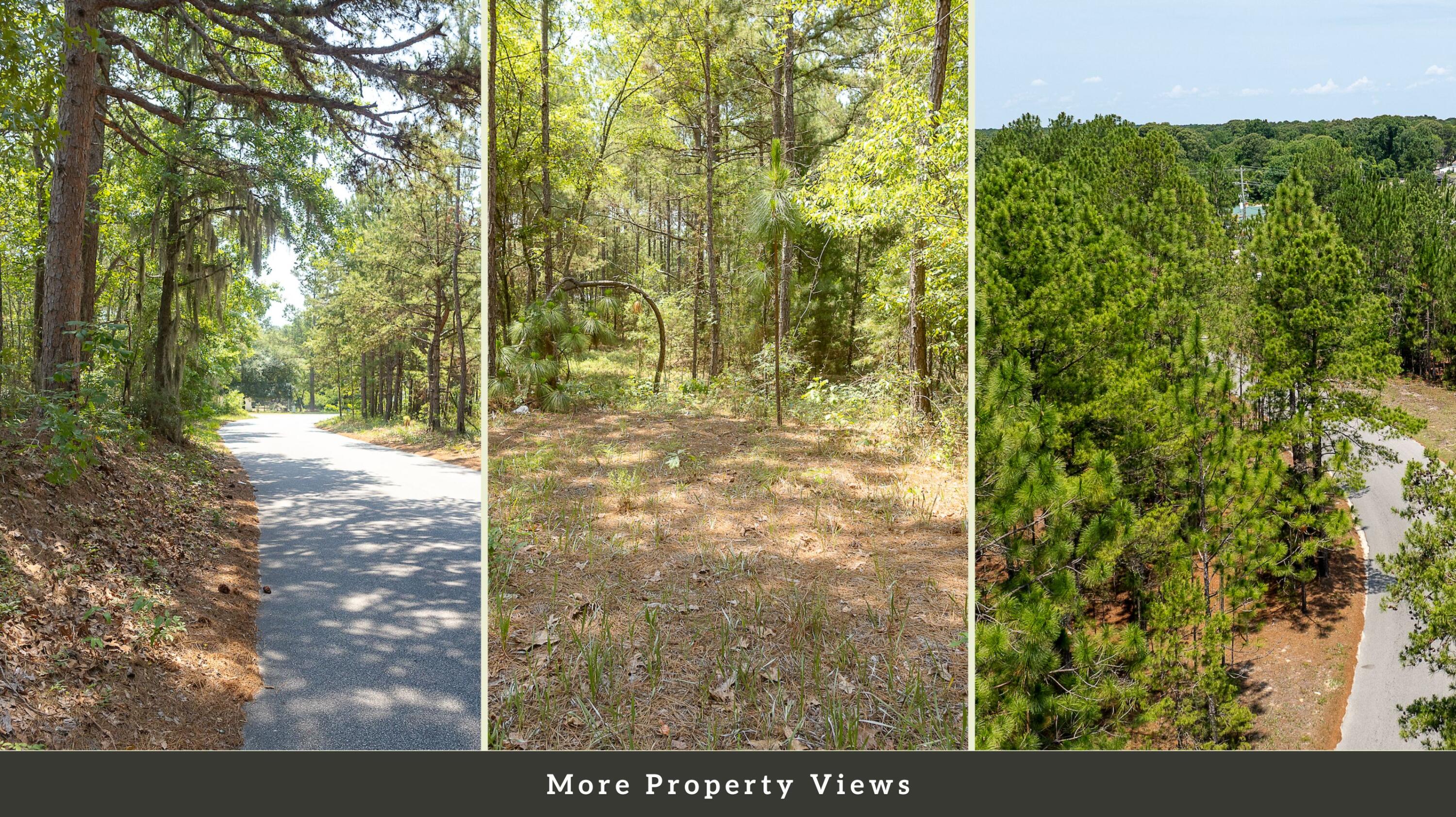 1 Broken Arrow Road Eutawville, SC 29048 - Photo 19 of 32 19