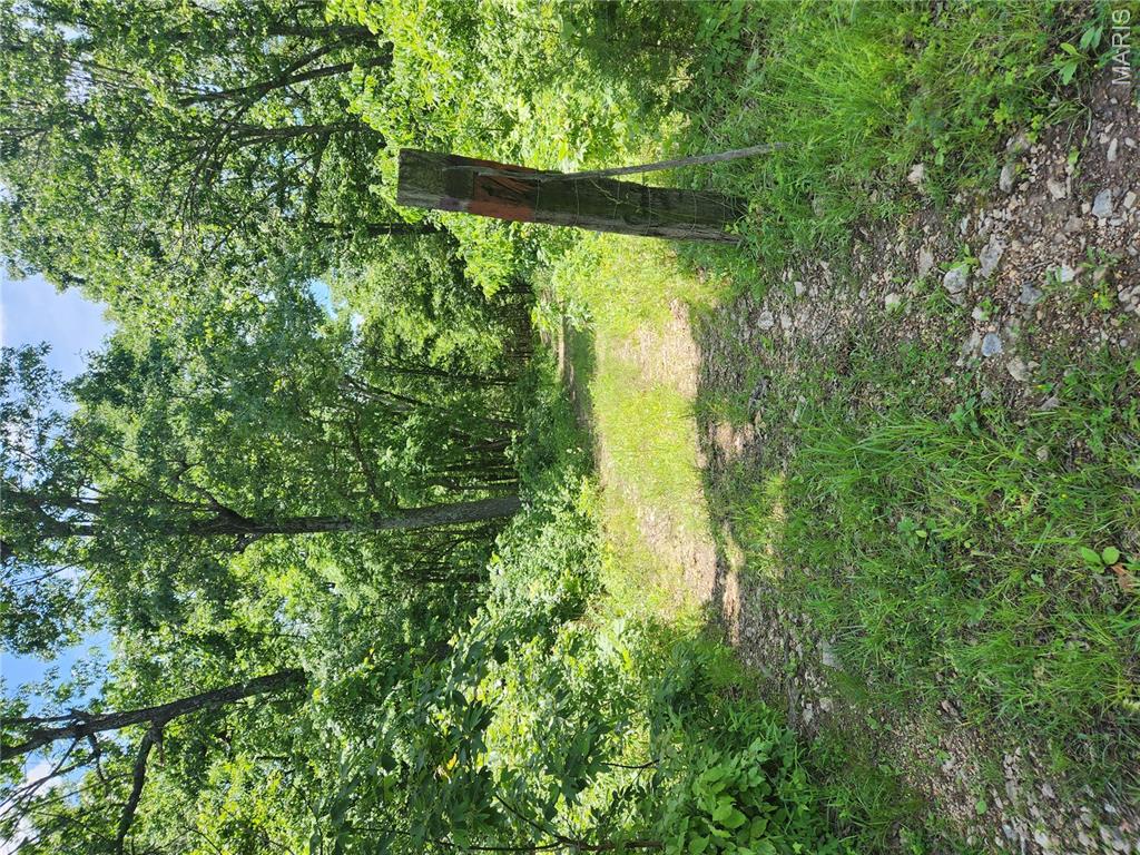 30620 Harbor Road Richland, MO 65556 - Photo 31 of 42