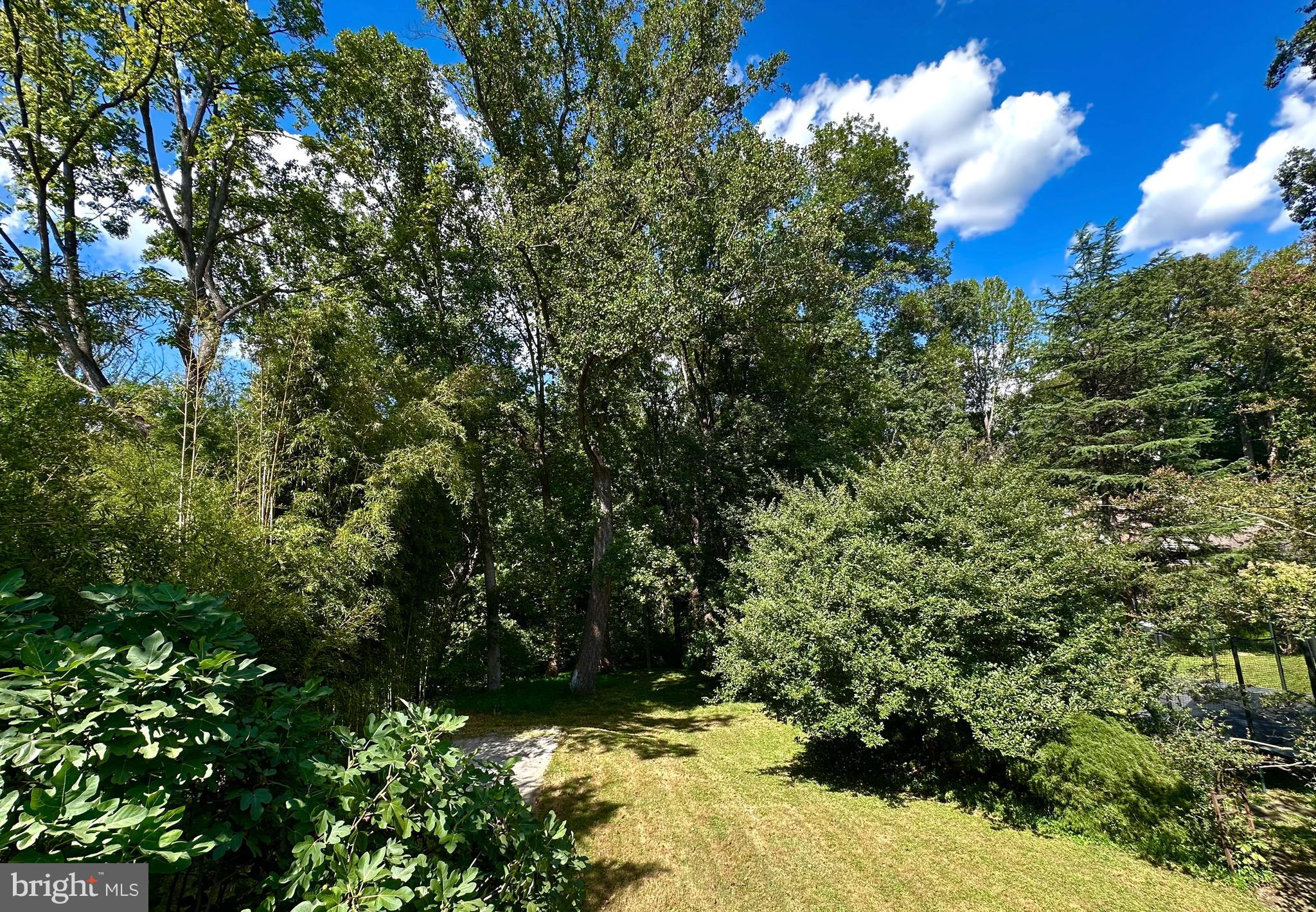 a view of a garden