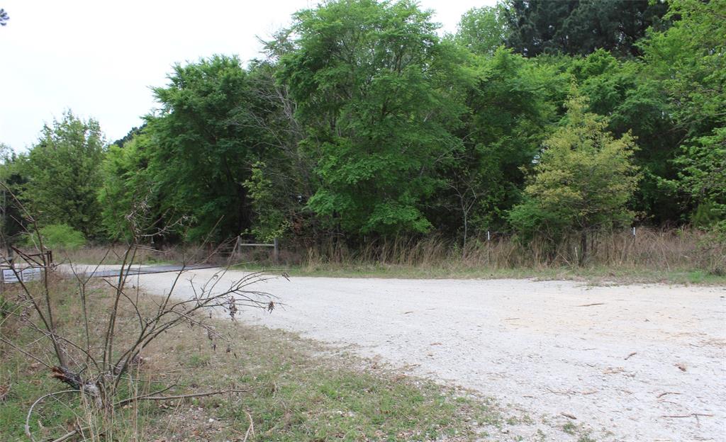 0 Cr-4600 Athens, TX 75752 - Photo 8 of 33