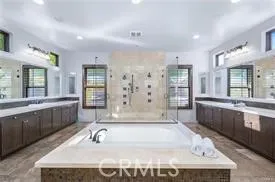 a bathroom with a tub a sink shower and mirror