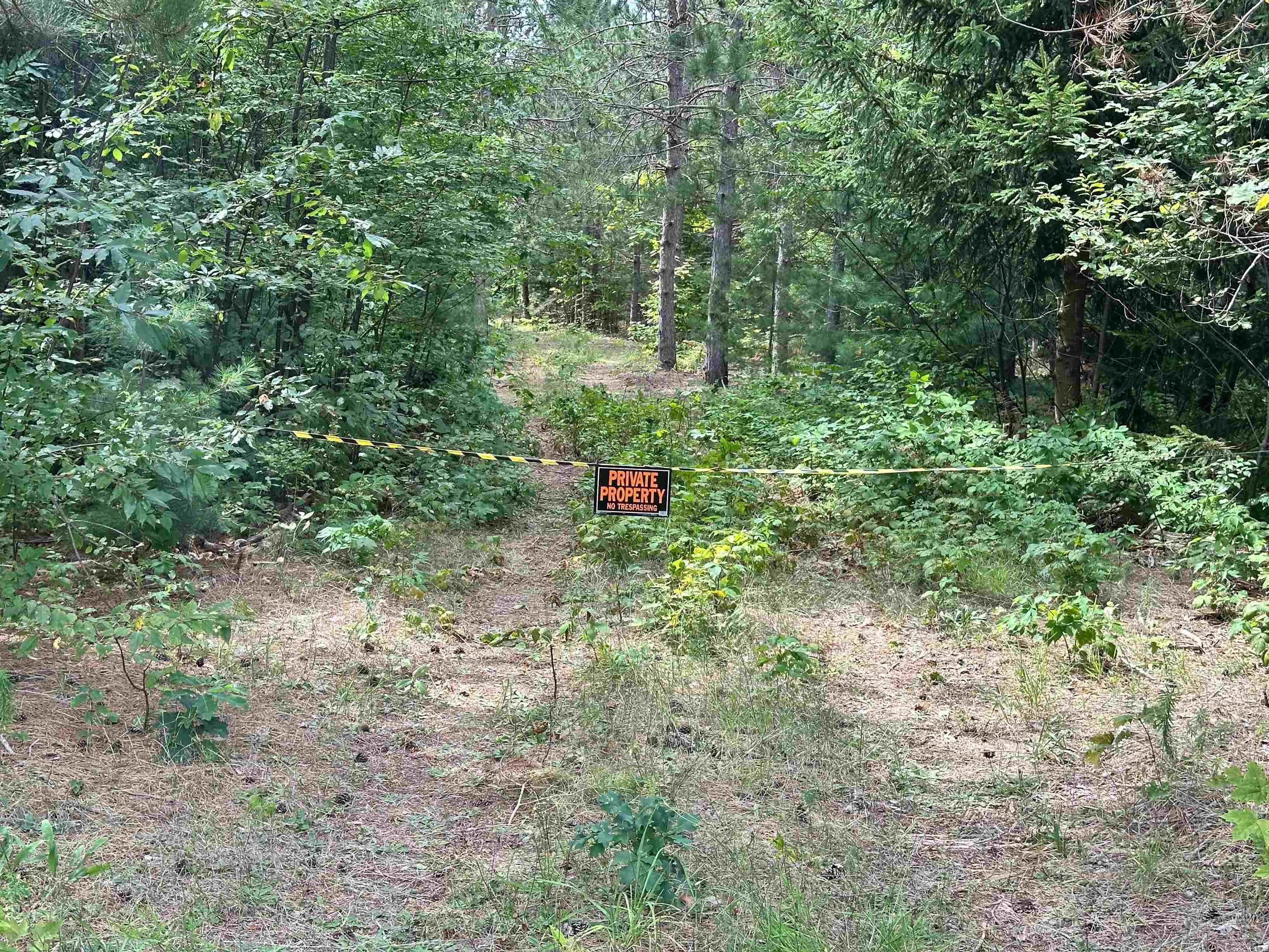 7658 Cedar River Road Mancelona, MI 49659 - Photo 18 of 24 1949521-b99f4c1a-d7ef-4216-b028-2e17aad6855f.JPG