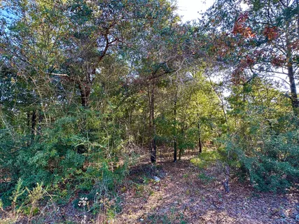 $22,900 | Lot 3 West Cypress Avenue, DeFuniak Springs, FL 32433