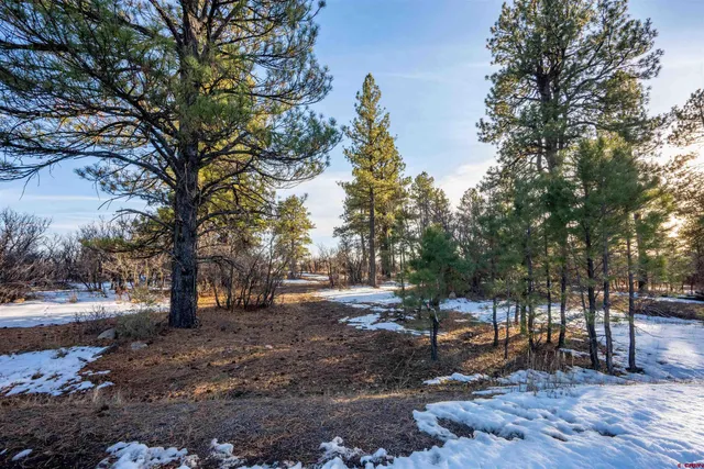 a view of outdoor space with lots of trees