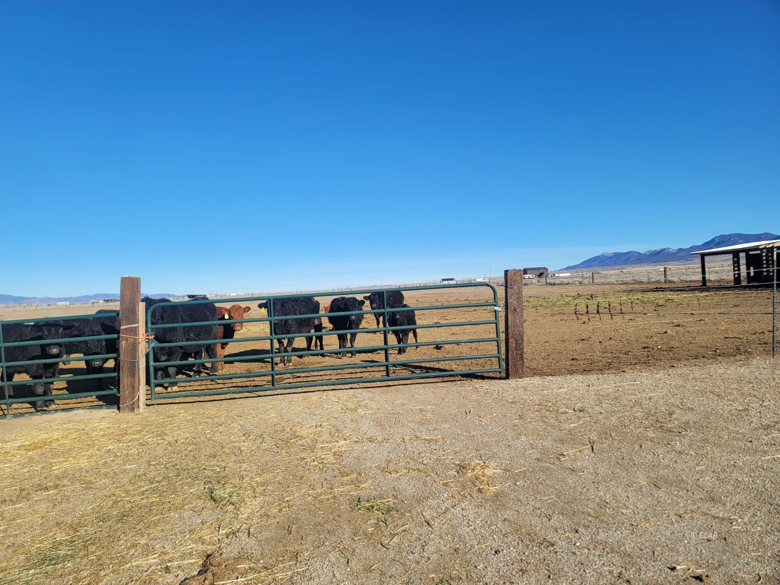 7th Street Montello, NV 89830 - Photo 3 of 12