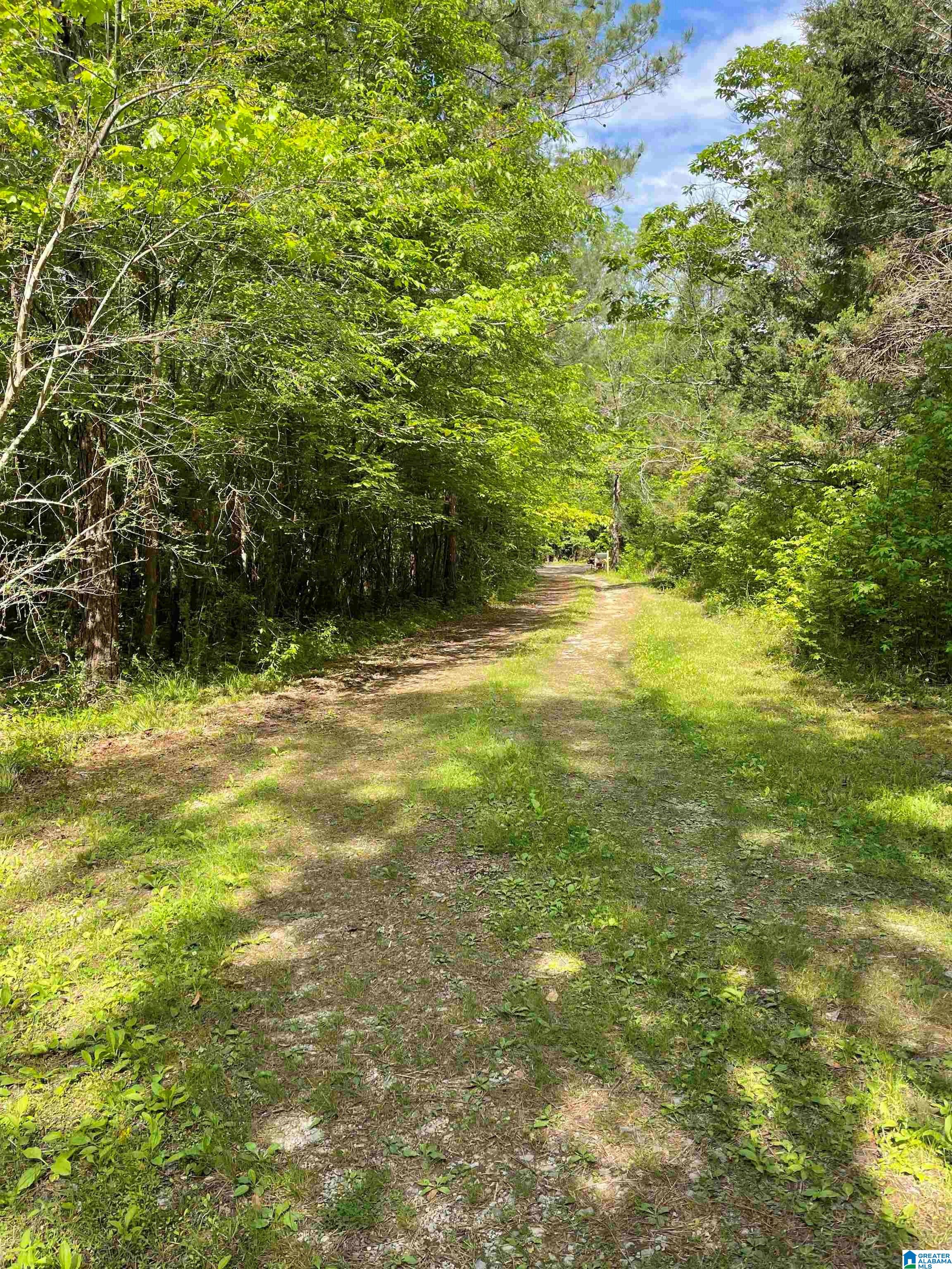 0 Pine Drive, Unit 7 Ohatchee, AL 36271 - Photo 14 of 14