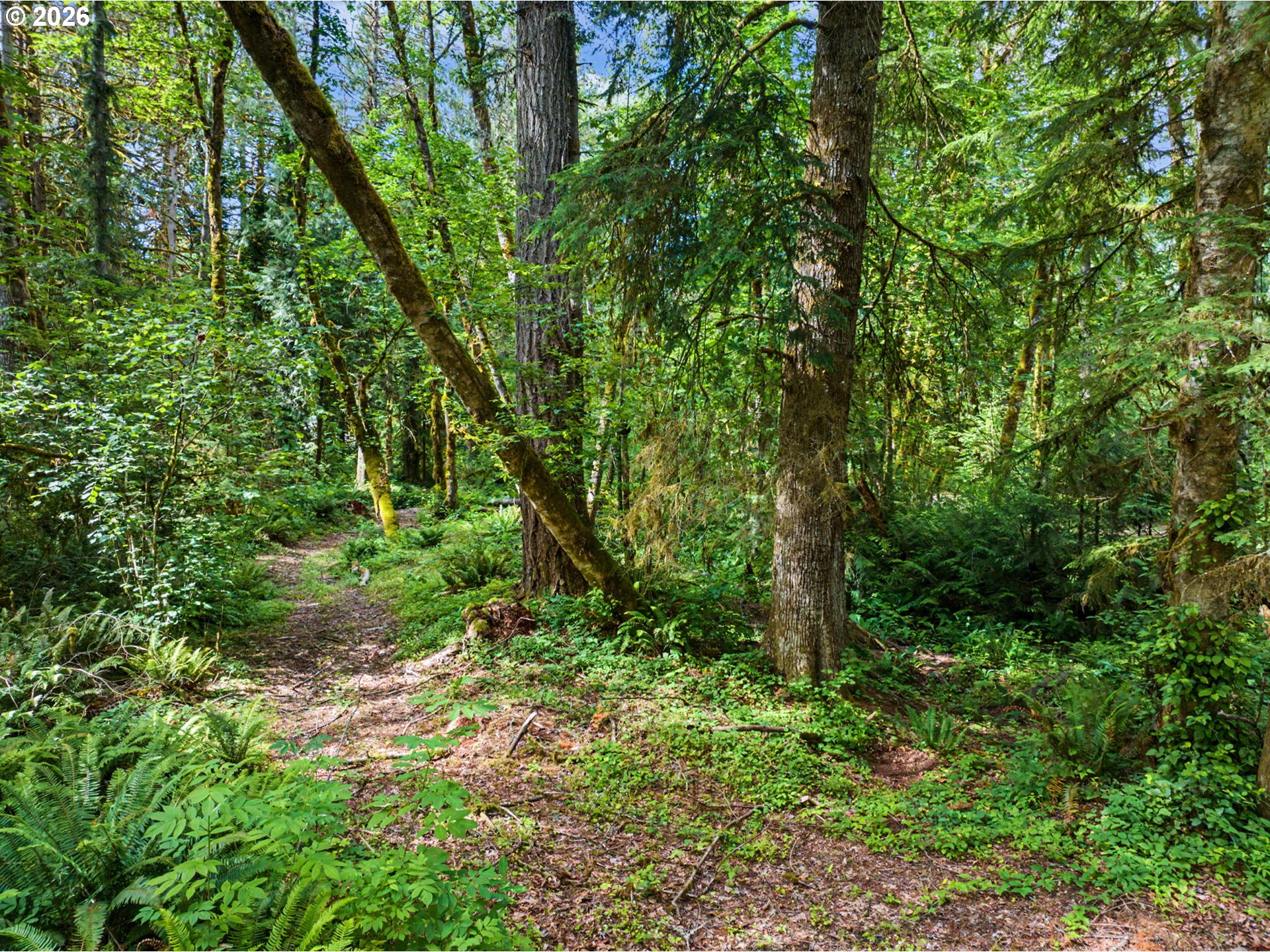 64601 East Brightwood Loop Road Brightwood, OR 97011 - Photo 36 of 48
