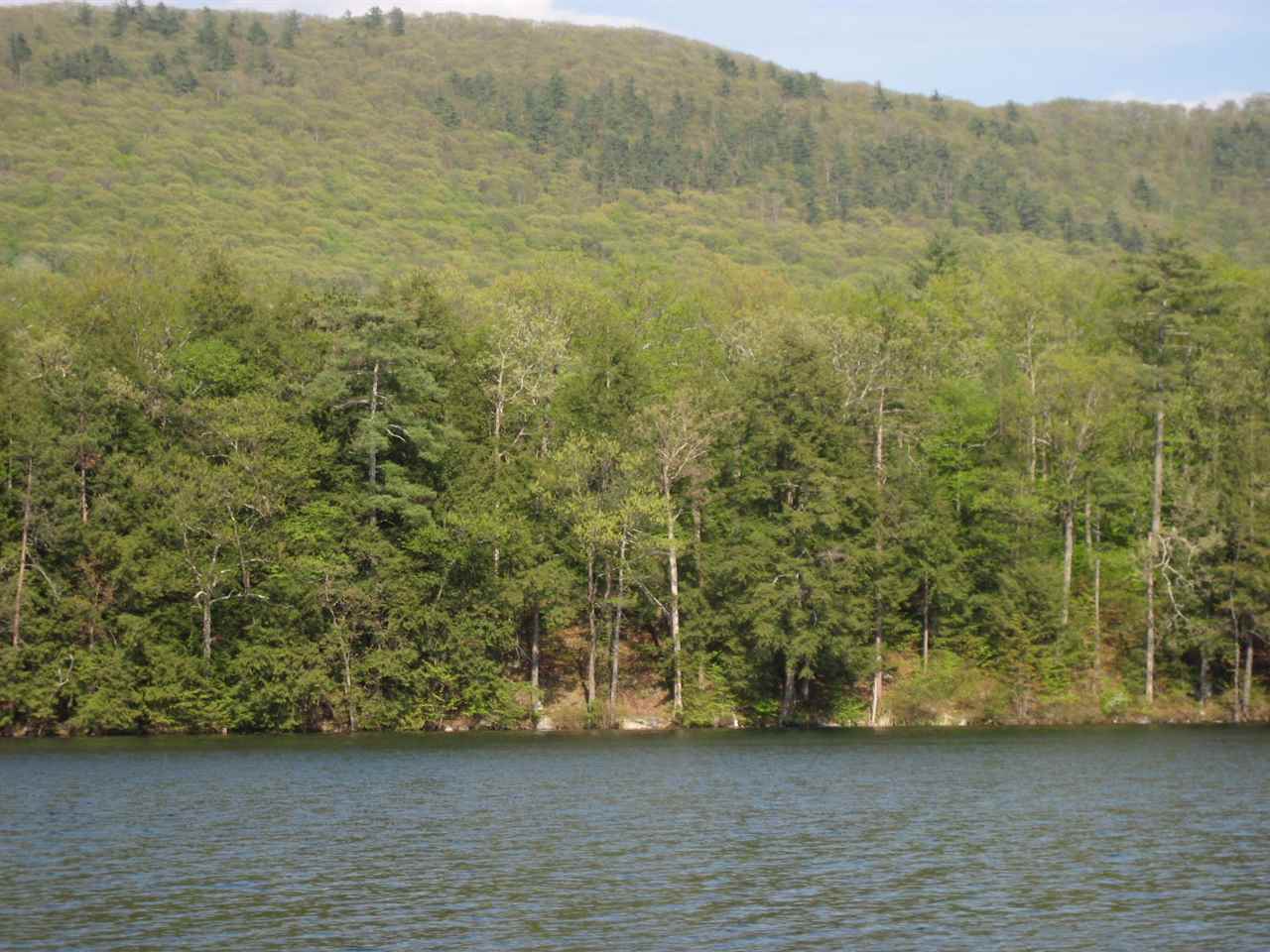 Tbd Lake Dunmore Road Leicester, VT 05733 - Photo 3 of 8 Gallery Image 3