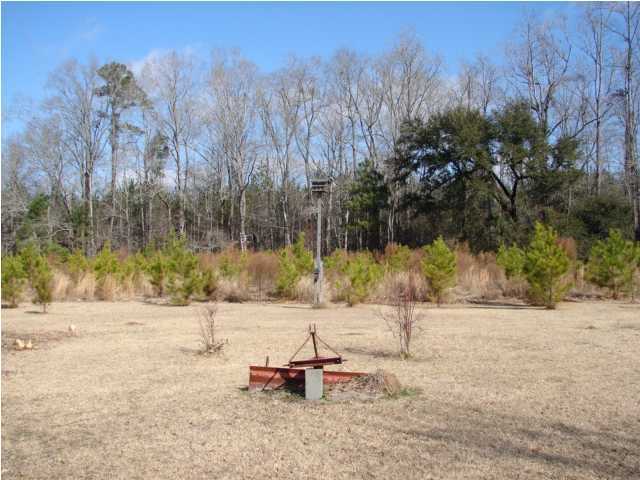 2774 Rehoboth Road Cottageville, SC 29435 - Photo 3 of 4 Additional Photo
