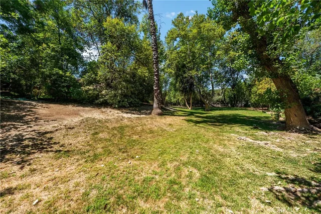 a view of outdoor space with deck and tree
