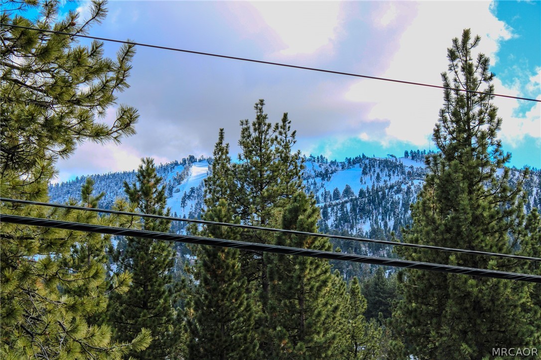 42830 Cougar Road, Unit UPPR Big Bear Lake, CA 92315 - Photo 19 of 21 a view of a houses and a forest
