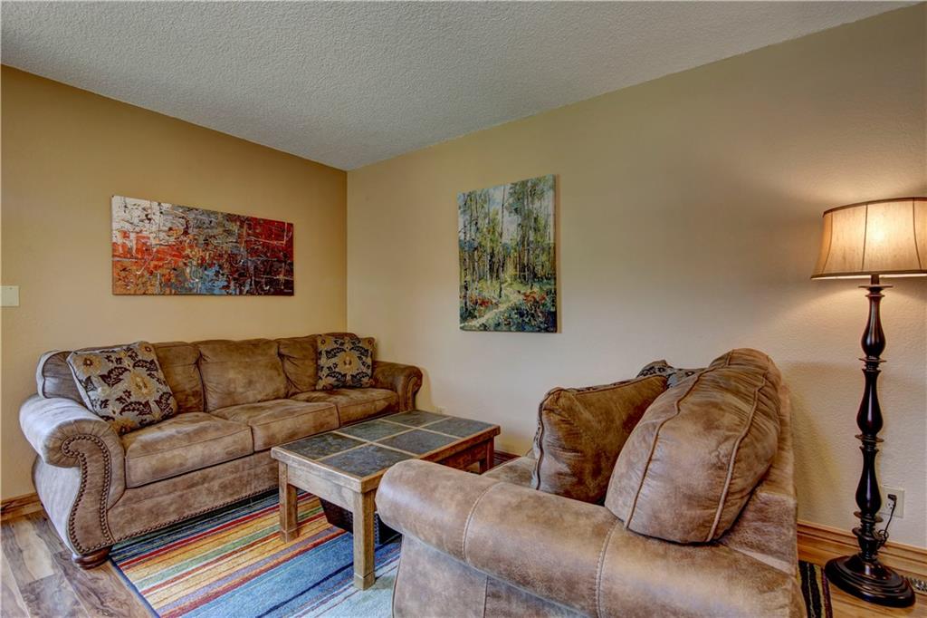520 Bills Ranch Road, Unit 173 Frisco, CO 80443 - Photo 5 of 24 a living room with furniture and a lamp