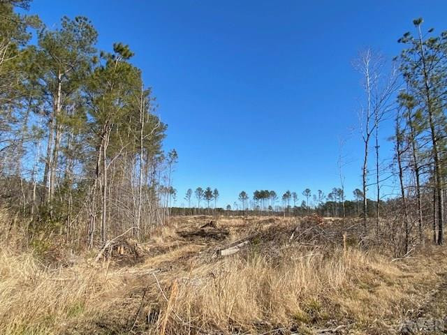 137 Charlie Harmon Road Aulander, NC 27805 - Photo 11 of 25 Gallery Image 11