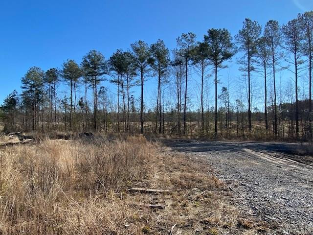 137 Charlie Harmon Road Aulander, NC 27805 - Photo 13 of 25 Gallery Image 13