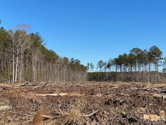137 Charlie Harmon Road Aulander, NC 27805 - Photo 14 of 25 Gallery Image 14