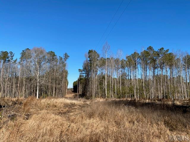 137 Charlie Harmon Road Aulander, NC 27805 - Photo 17 of 25 Gallery Image 17