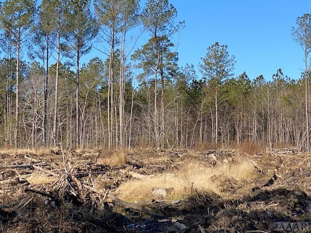 137 Charlie Harmon Road Aulander, NC 27805 - Photo 24 of 25 Gallery Image 24