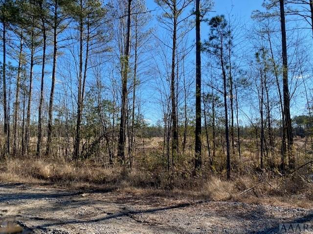 137 Charlie Harmon Road Aulander, NC 27805 - Photo 4 of 25 Gallery Image 4