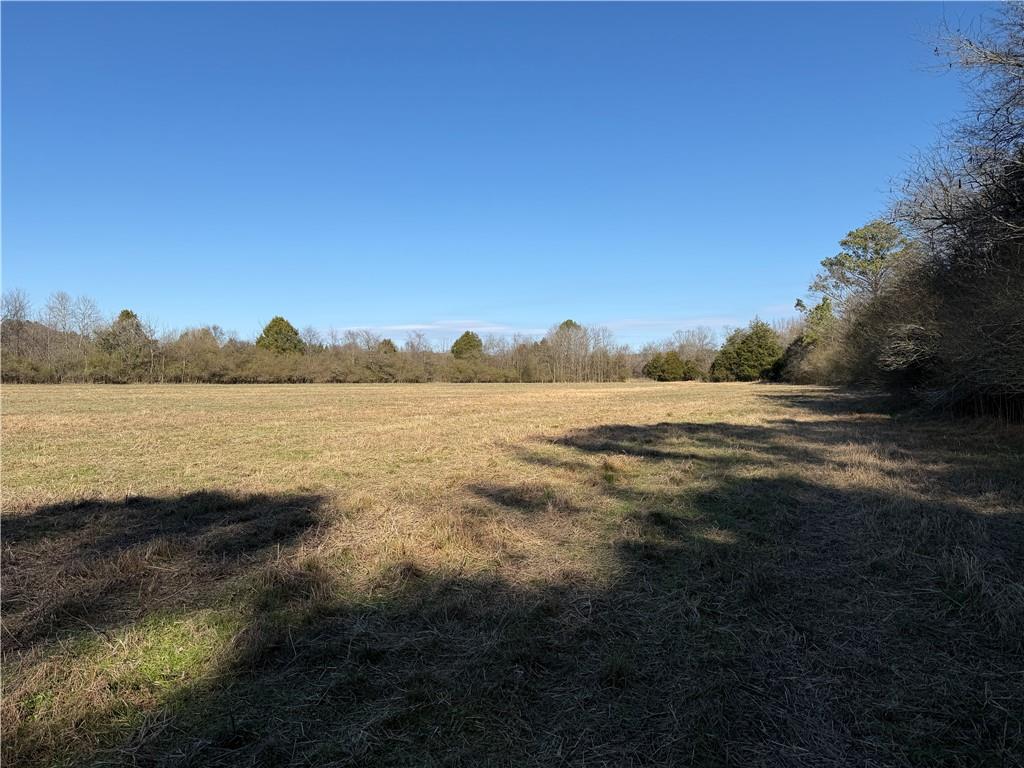 0 Liberty Church Road Northeast Ranger, GA 30734 - Photo 13 of 31 Gallery Image 13