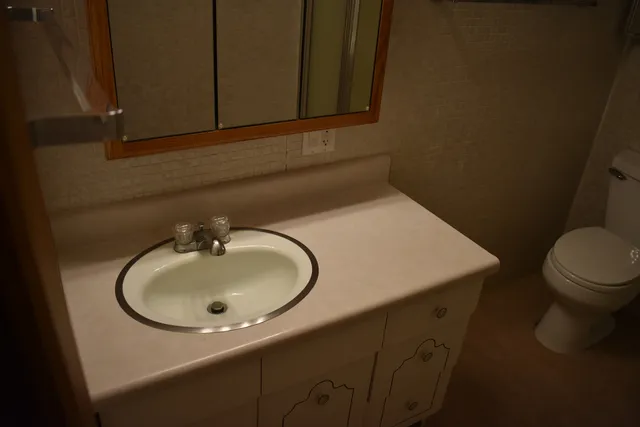a bathroom with a sink and a toilet