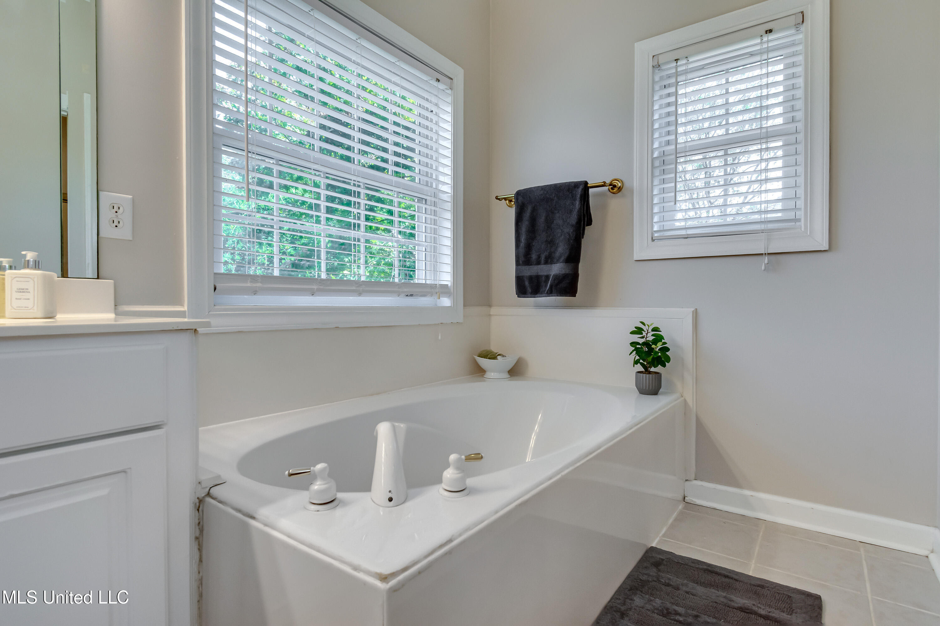 539 Spring Lake Drive Pearl, MS 39208 - Photo 32 of 58 539 Spring Lake Dr-61