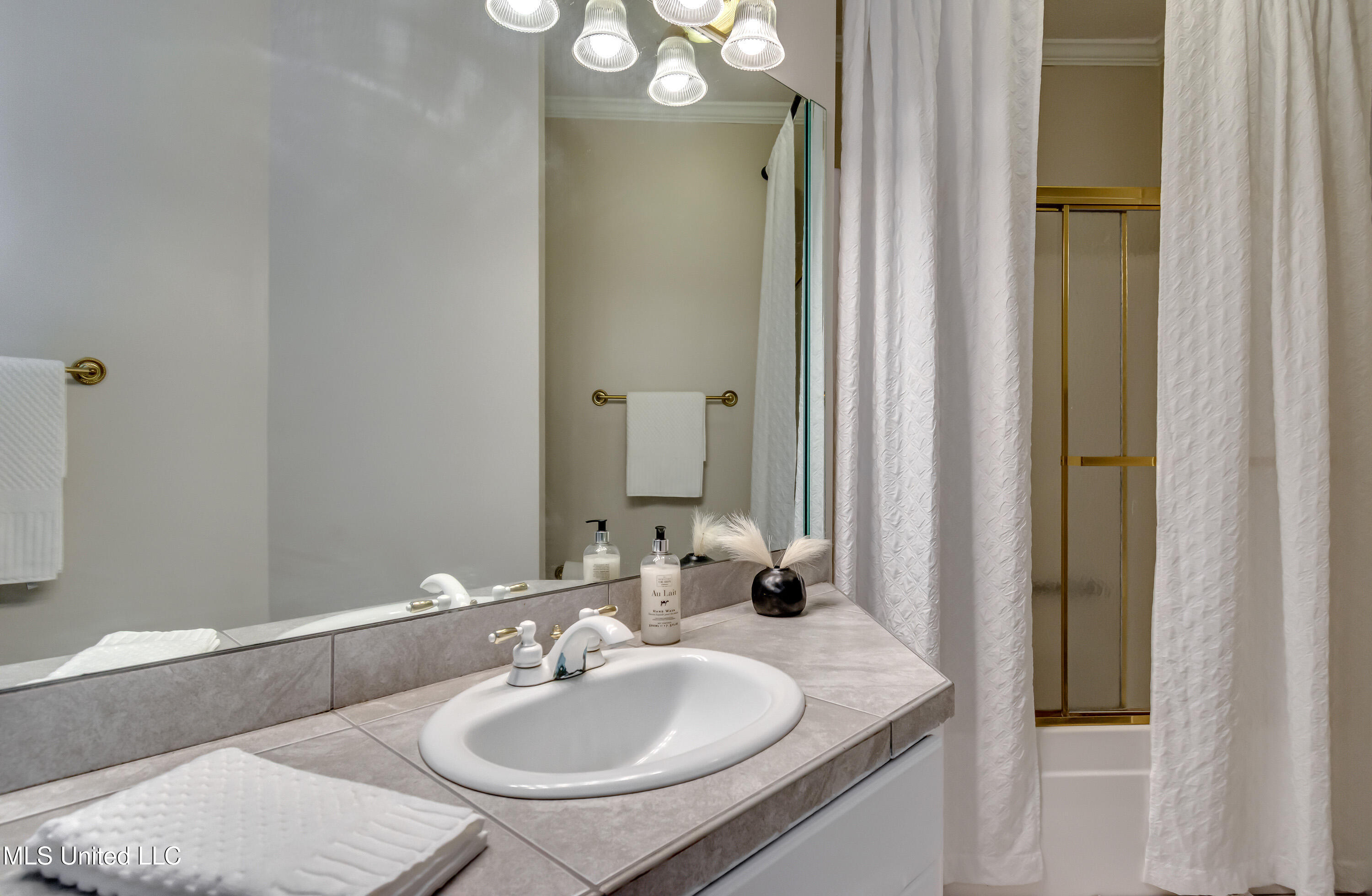 539 Spring Lake Drive Pearl, MS 39208 - Photo 34 of 58 539 Spring Lake Dr-50