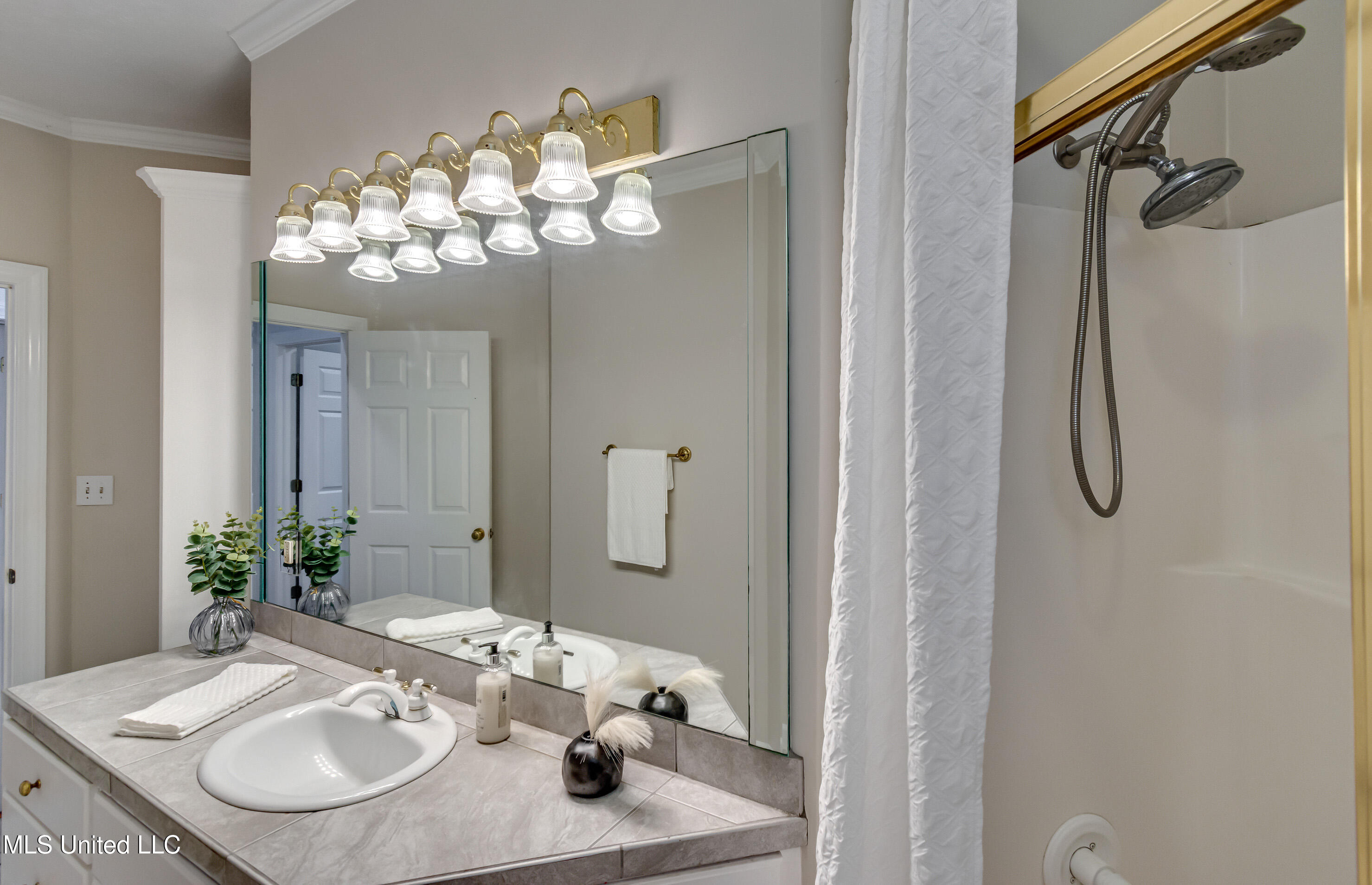 539 Spring Lake Drive Pearl, MS 39208 - Photo 35 of 58 539 Spring Lake Dr-51