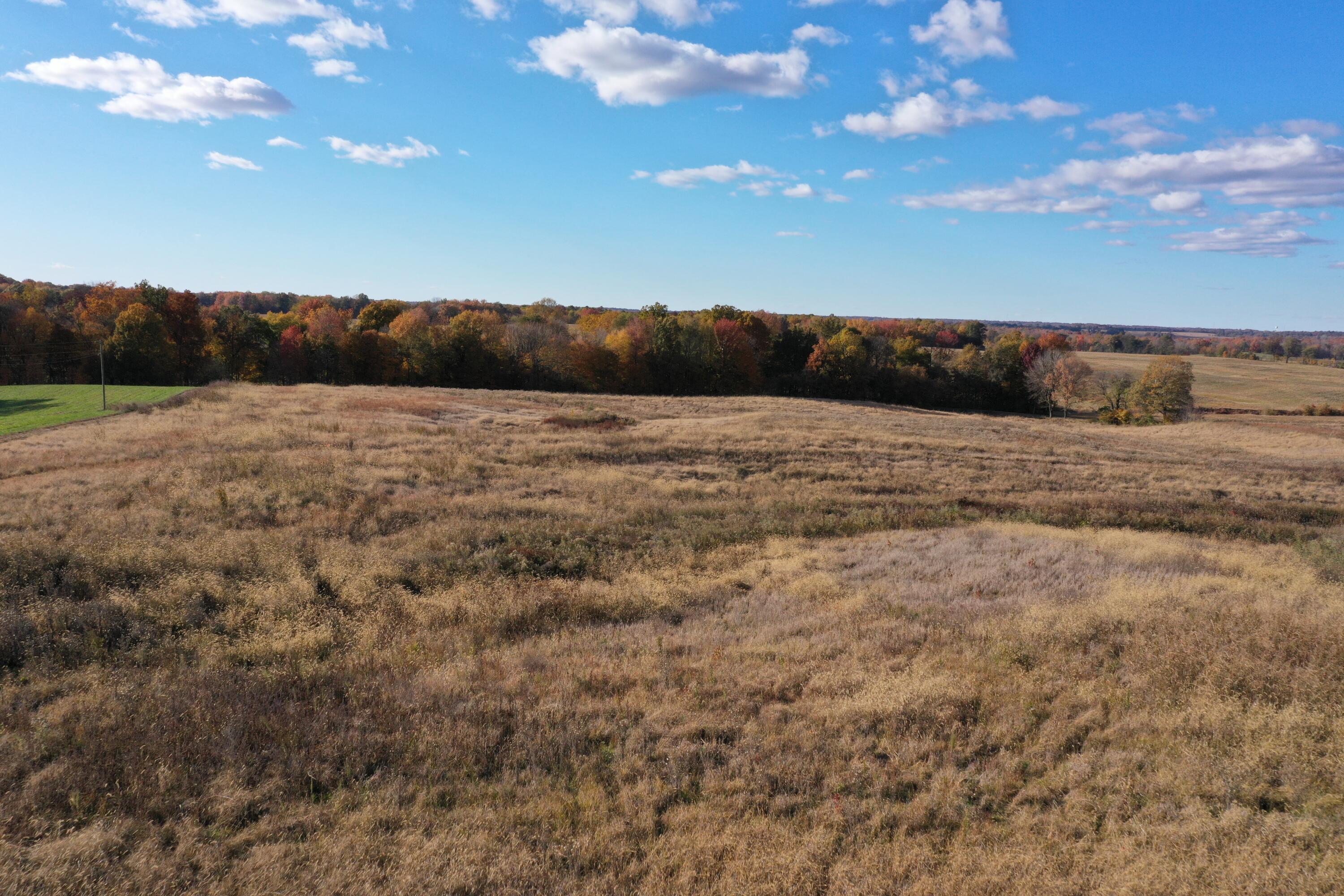 0 Grubbs Road Clinton, KY 42031 - Photo 4 of 15 DJI_0051
