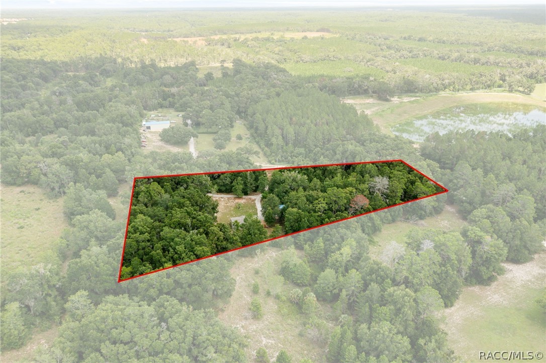 810 North Obrien Point Lecanto, FL 34461 - Photo 47 of 54