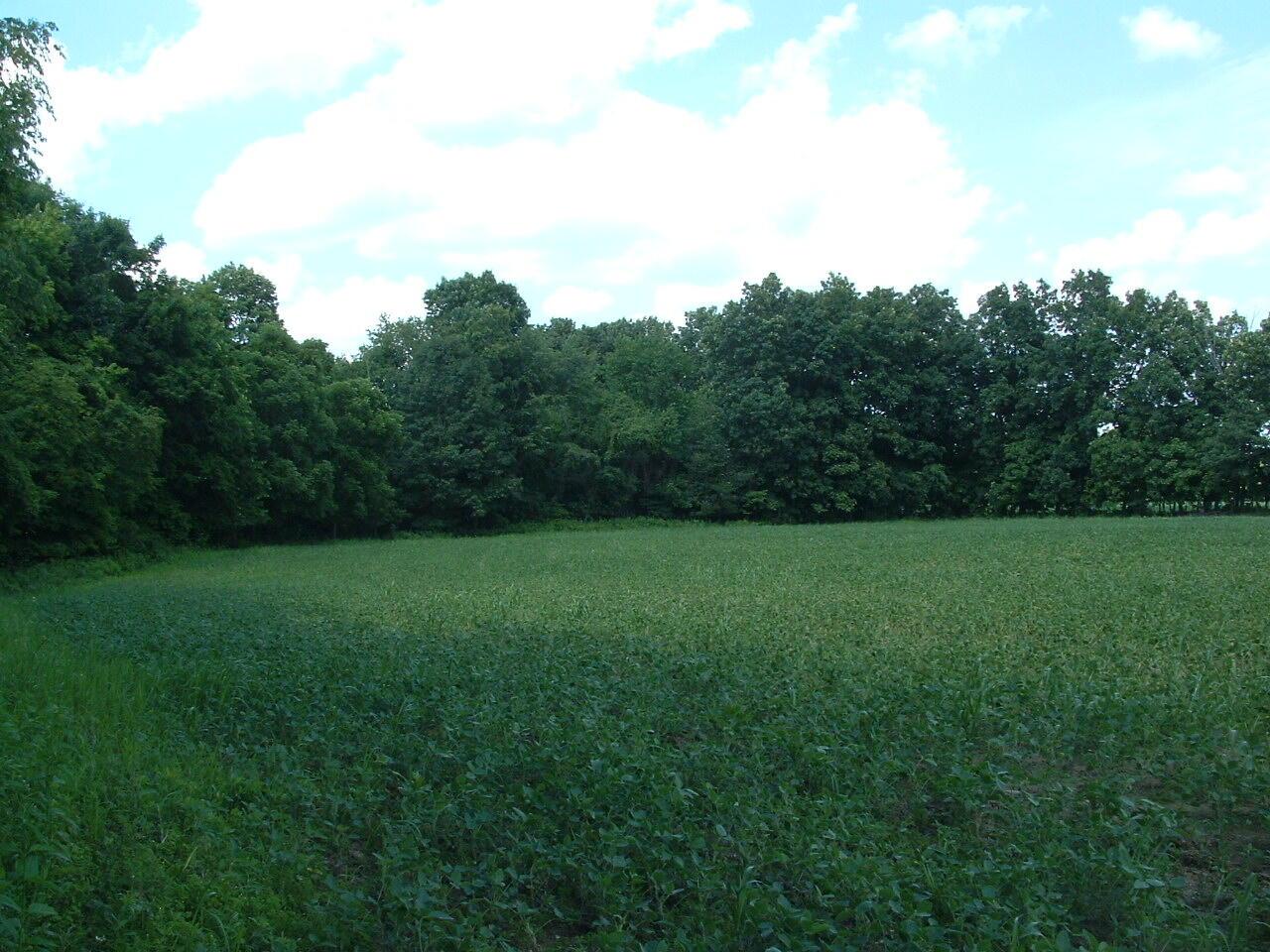 9311 Jug St Road Northwest Pataskala, OH 43062 - Photo 66 of 83 DSCF0048