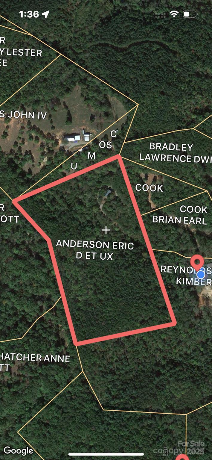 1446 Mcguinn Road Mill Spring, NC 28756 - Photo 46 of 48