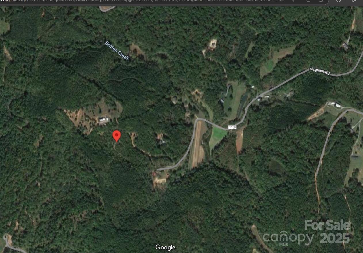 1446 Mcguinn Road Mill Spring, NC 28756 - Photo 47 of 48