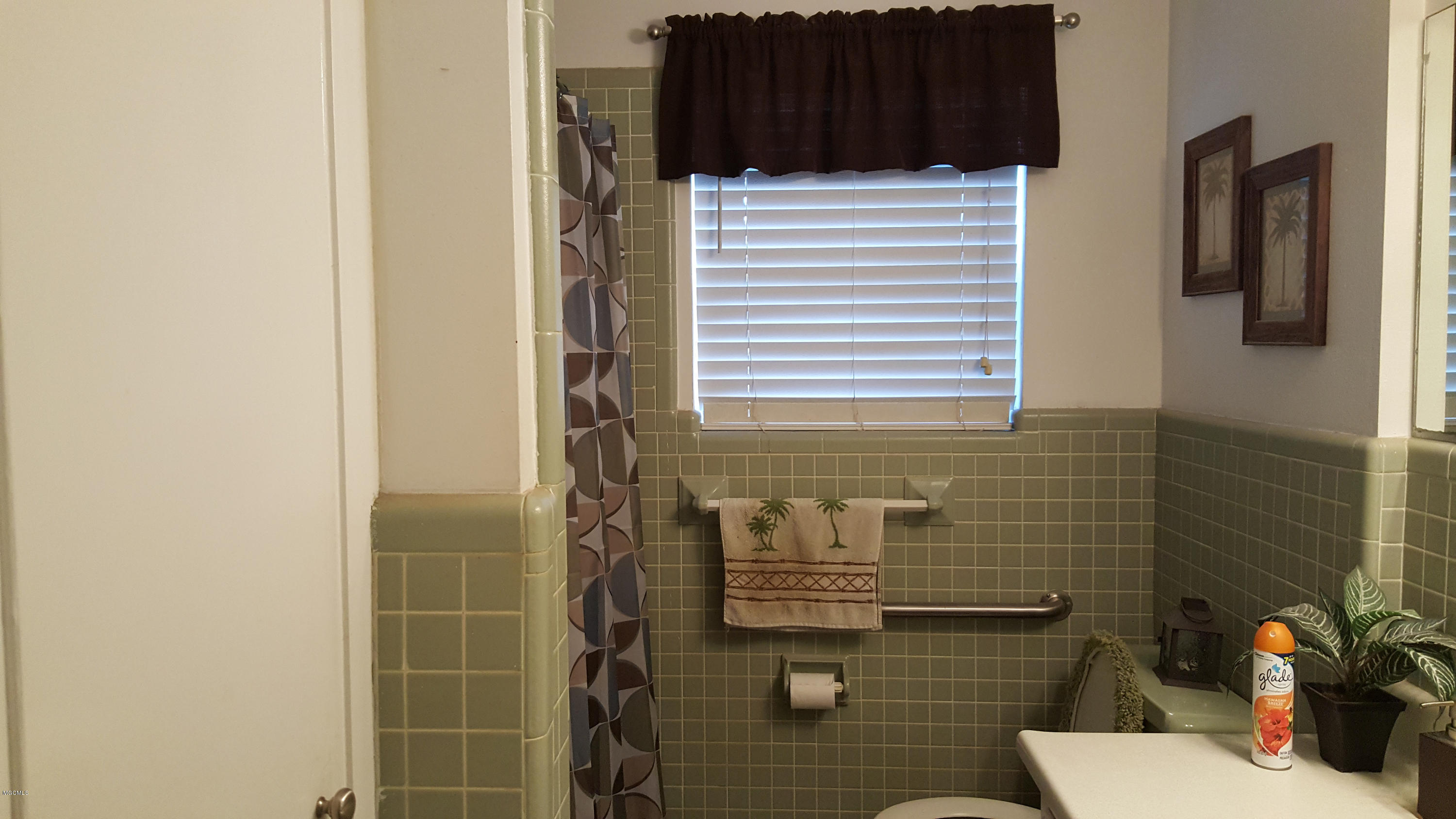 6916 Springwater Street Moss Point, MS 39563 - Photo 40 of 47 20161014_154902