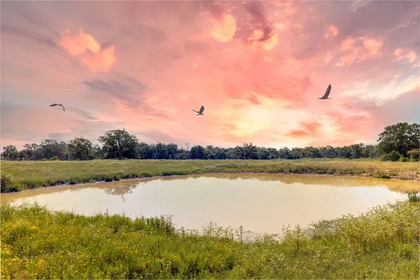 $325,000 | 1197 Fm 489 Street West, Donie, TX 75838