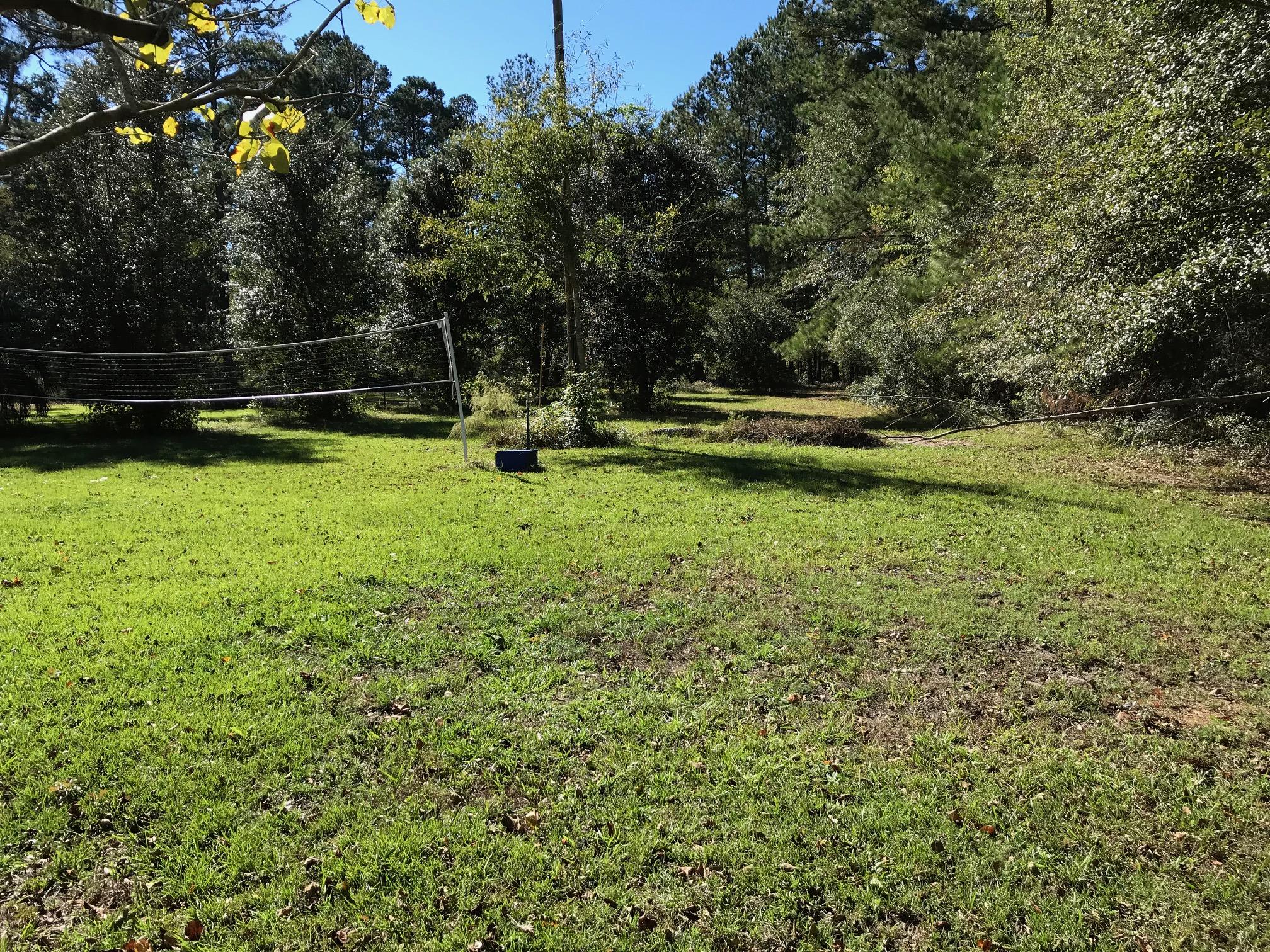 1059 Jones Swamp Road Walterboro, SC 29488 - Photo 19 of 20 house field